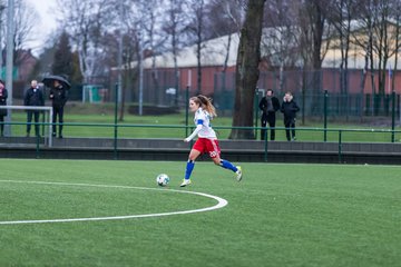 Bild 123 - wBJ Hamburger SV - Holstein Kiel : Ergebnis: 3:2